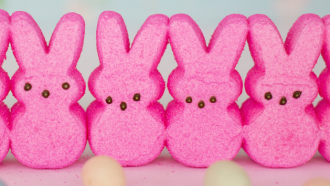 pink bunny peeps